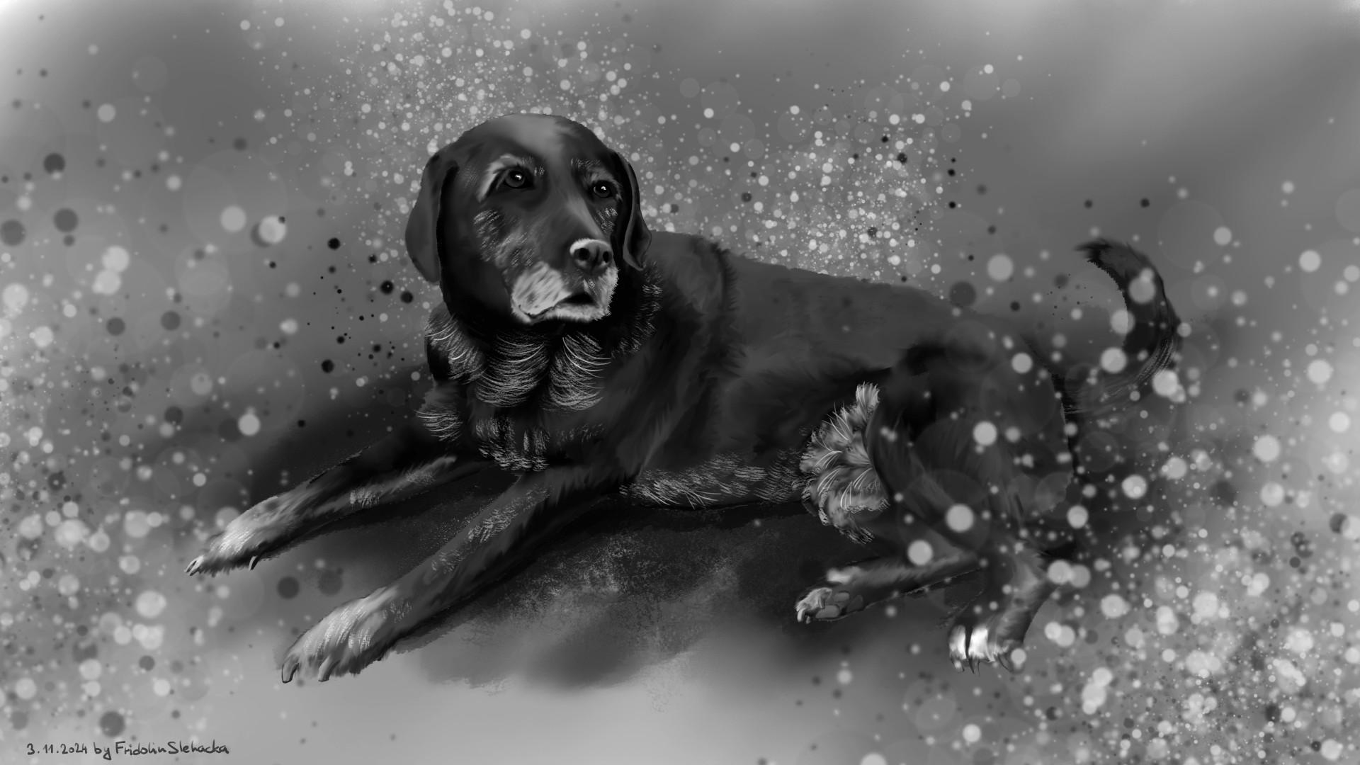 Náhledový obrázek projektu