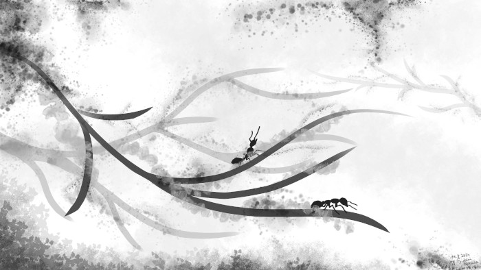 Náhledový obrázek projektu